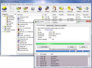 Internet Download Manager 6.15 Free Software
