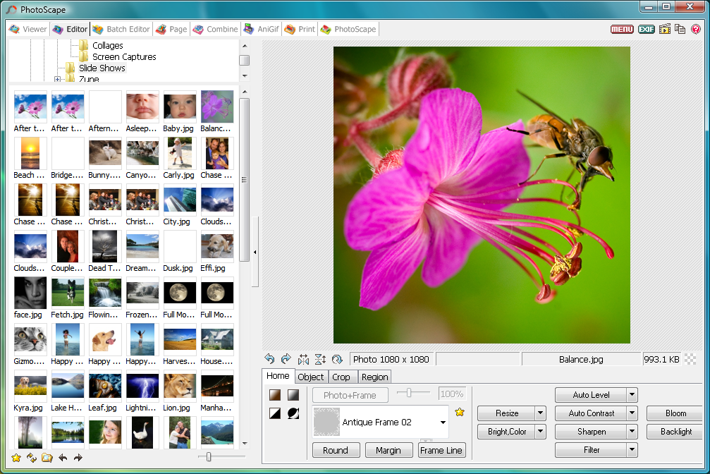 Download Free PhotoScape 3.7