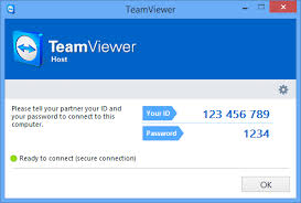 teamviewer 10 download com