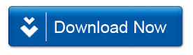 Download Now BitTorrent Latest Version