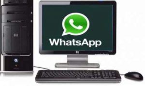 pc whatsapp apk download pc whatsapp apk download