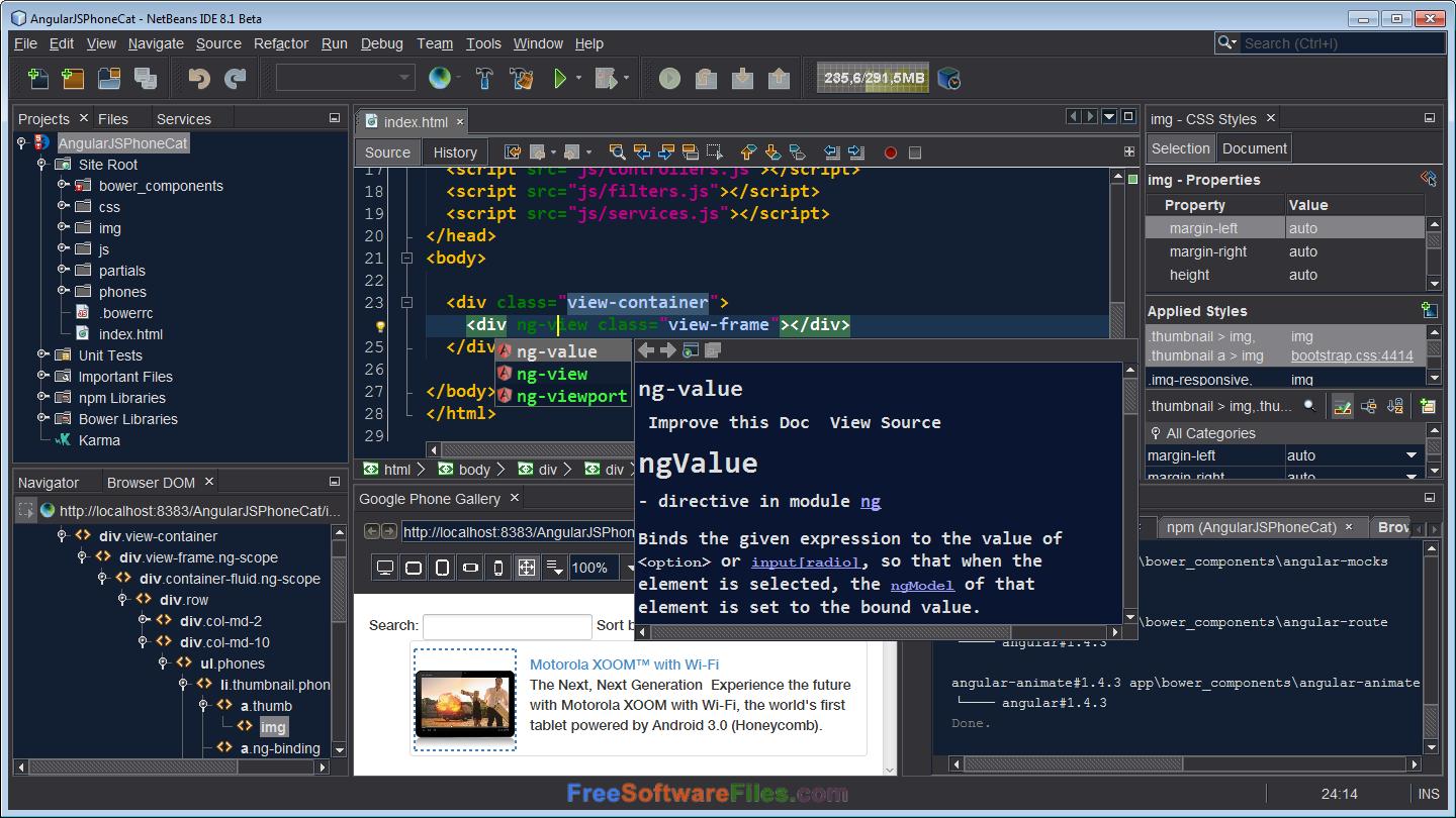 what is netbeans software