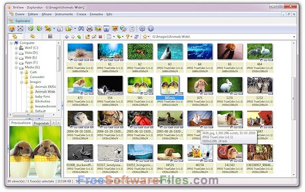 xnview Latest Version Free Download review