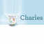 Charles Proxy 4.2 Free Download