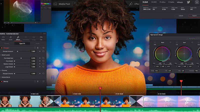 Offline Installer Download Davinci Resolve Studios 17 2021