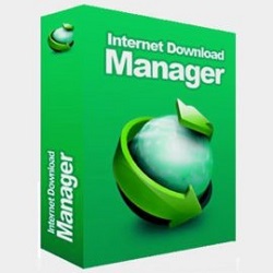 Internet Download Manager 6.41 Build 6 Free Download