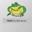 Toad for SQL Server 2022 Free Download