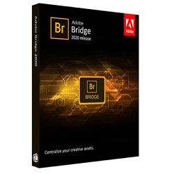 Adobe Bridge 2024 Free Download