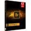 Adobe Bridge 2024 Free Download