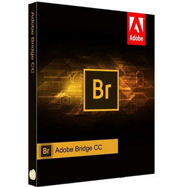 Adobe Bridge 2024 Review