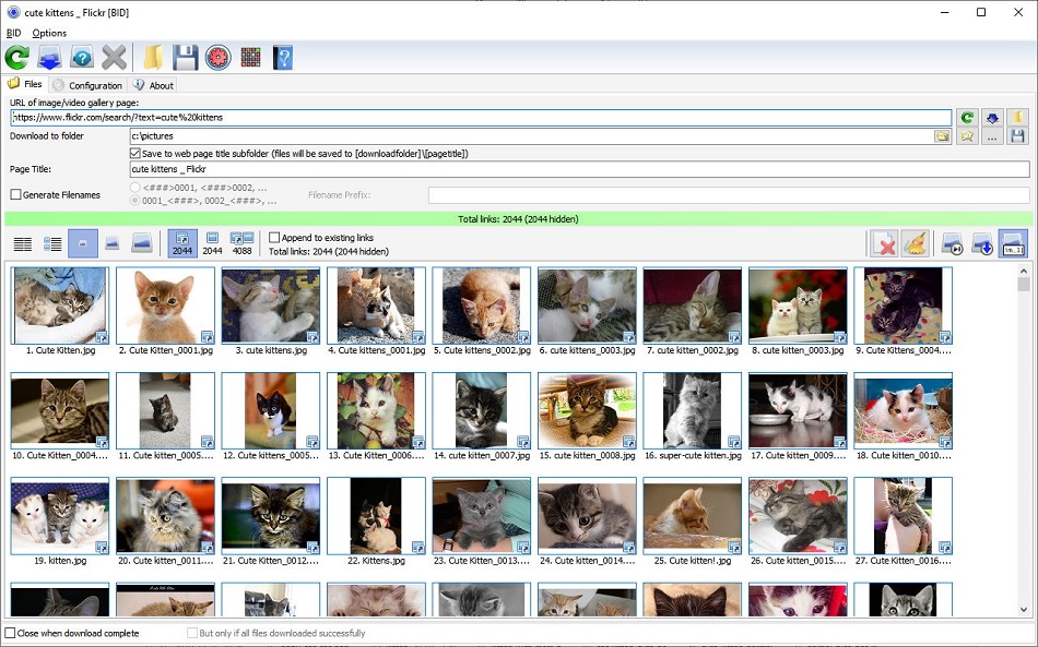 Offline Installer Download Bulk Image Downloader 2024