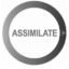 Assimilate Scratch 2025 Free Download